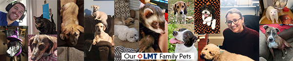 LMT Pets