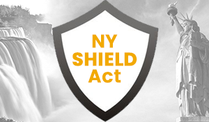 NYS Shield Act SocMed B